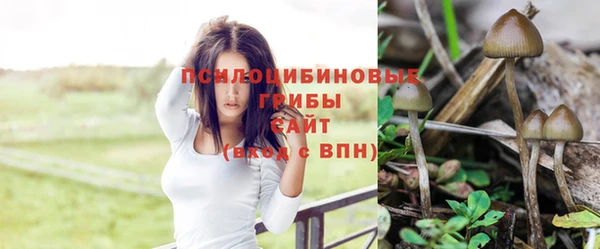 не бодяженный Бронницы