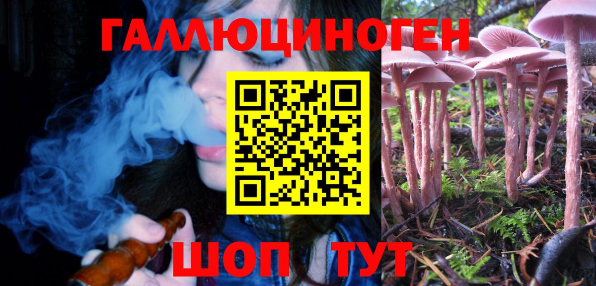 Галлюциногенные грибы Psilocybine cubensis Волоколамск