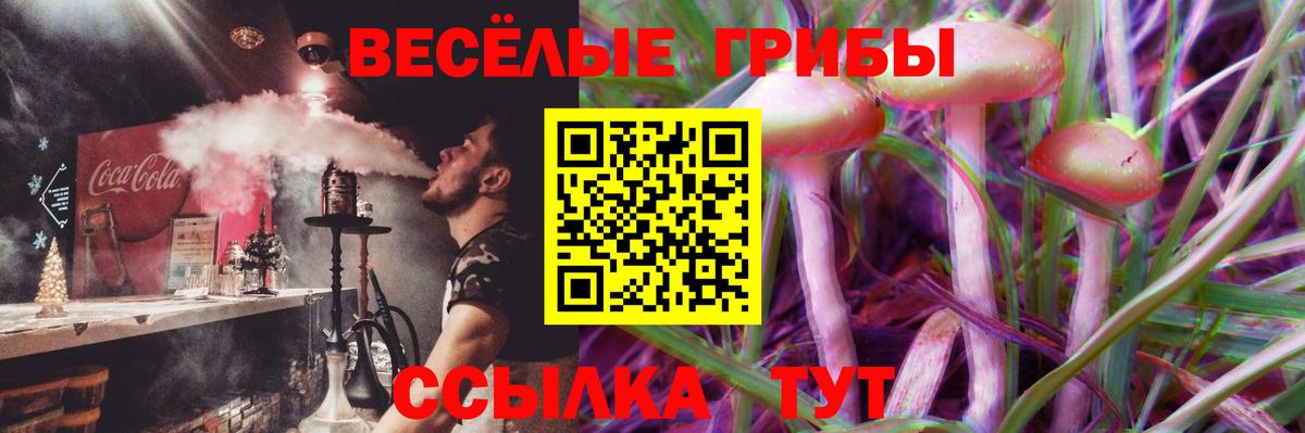 хочу наркоту  Волоколамск  Псилоцибиновые грибы Magic Shrooms 