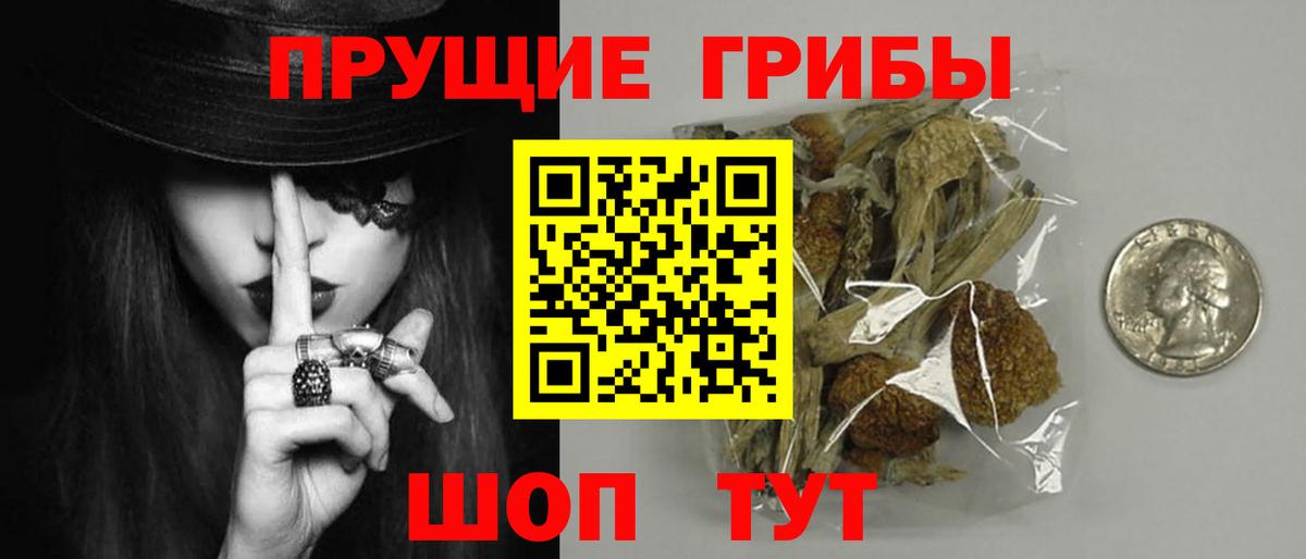 Псилоцибиновые грибы мицелий  Вход с VPN  дарнет шоп  Псилоцибиновые грибы ЛСД  Волоколамск 